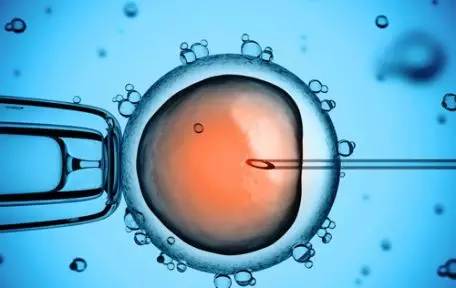显微操作